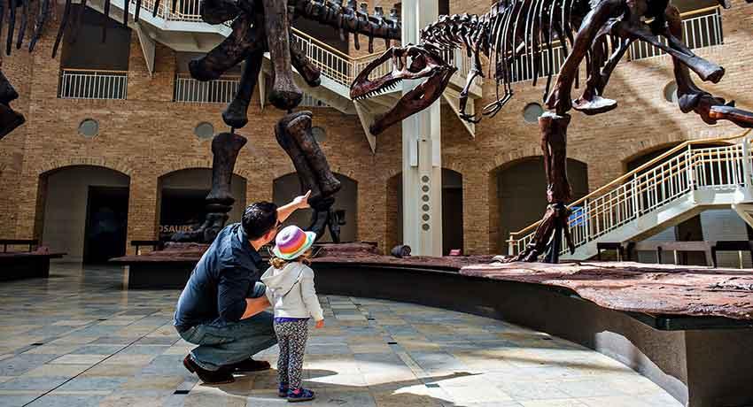 Museums for Families in Atlanta